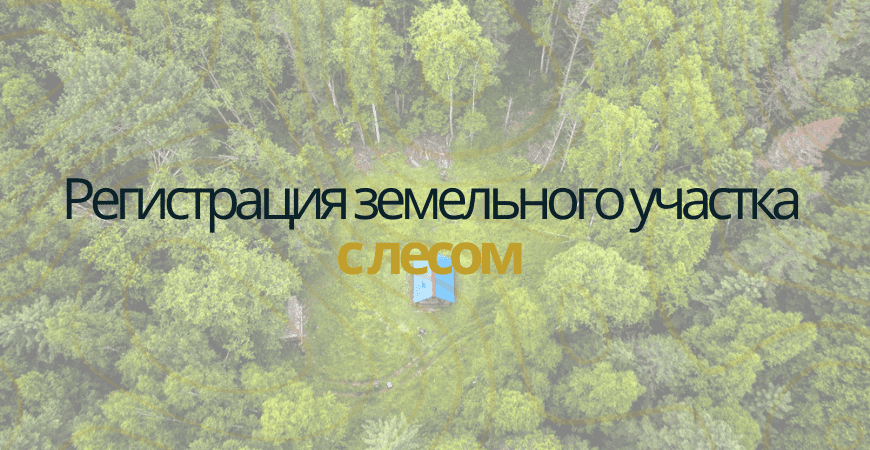 Земельный участок с лесом в Чапаевске